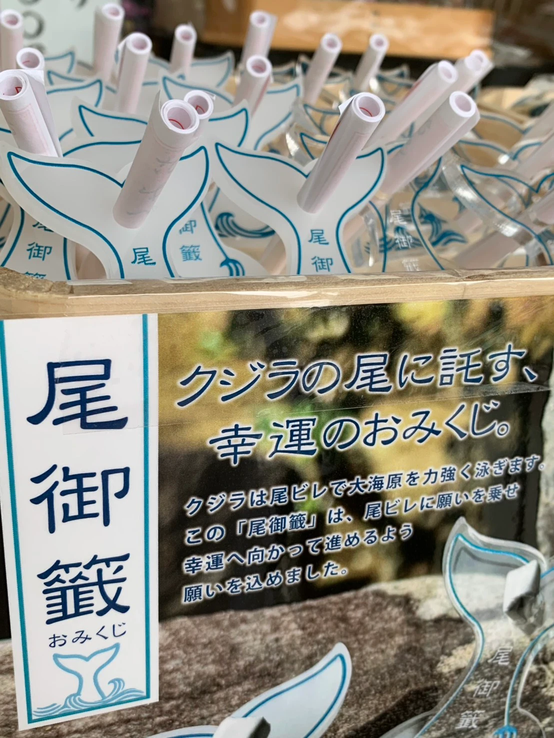 尾御籤の頒布の様子です。尾御籤の外観を写しています。